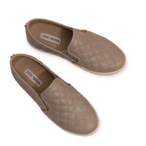 Steve Madden Women's Ecentrcq Sneaker